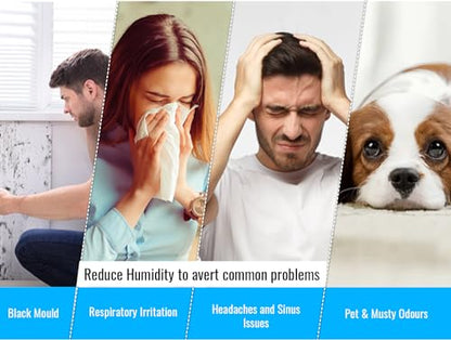 PureMate 10L Mobil & Kompakt Luftentfeuchter 10 Liter