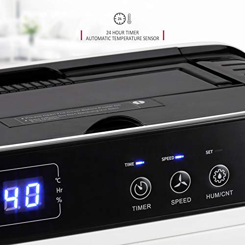 NETTA 12 L/Tag Energiesparender Luftentfeuchter – Digital Control Panel