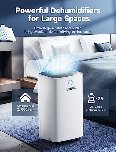 12 L/Tag Luftentfeuchter mit Digitaler Feuchtigkeitsanzeige Control