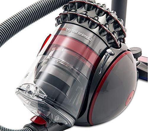 Dyson Big Ball Animal